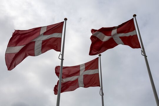 Danish flags featuring the Dannebrog national cross fluttering in the wind