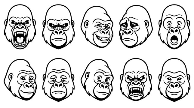 Collection of gorilla head icons, expressing various emotions like anger, happiness, and sadness, rendered in a simple line art style
