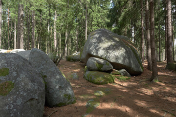 Large boulder and mossy stones near Zihle © Milan