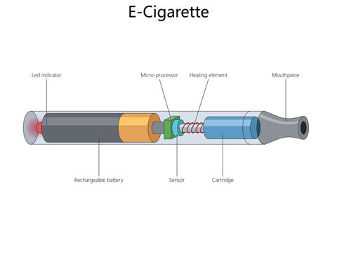 electronic cigarette diagram hand drawn schematic vector. Science educational illustration
