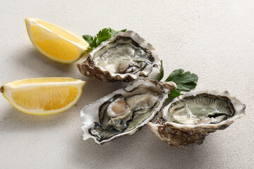 Delicious fresh oysters with lemon and parsley on white background © Pixel-Shot