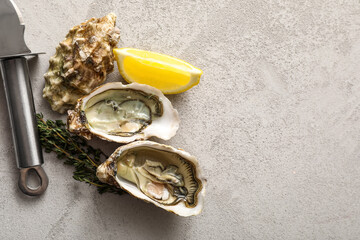 Delicious fresh oysters with lemon and thyme on grey background © Pixel-Shot