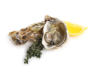 Delicious fresh oyster with lemon and thyme on white background © Pixel-Shot