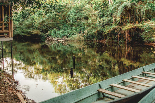 Tena, Ecuadorian Amazon. October 11, 2023. Traditional wooden canoes resting on the bank of a calm jungle river. 