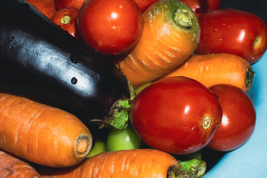 Fresh vegetables with water drops. eggplant, carrots and tomatoes