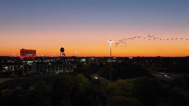 Flock of Birds Flying Over Downtown Detroit City at Sunset