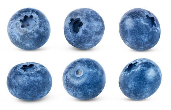 Fresh blue berries isolated collection. Blueberry isolated set.
