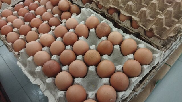 Fresh Brown Eggs in Stacked Egg Cartons