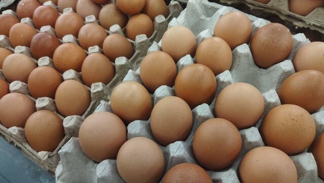 Fresh Brown Eggs in Egg Carton in Market Scene
