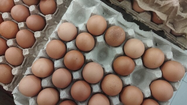 Fresh Brown Farm Eggs in Cartons