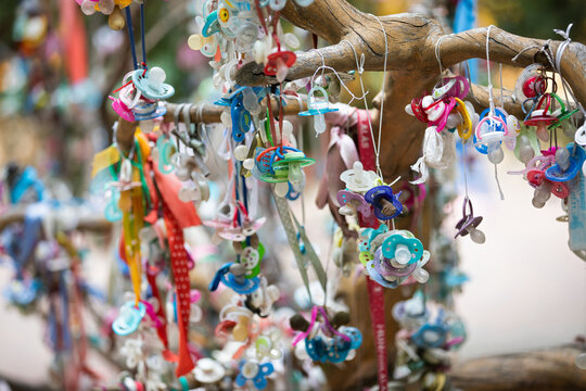 Colorful Baby Pacifiers Hanging from a Traditional Pacifier Tree
