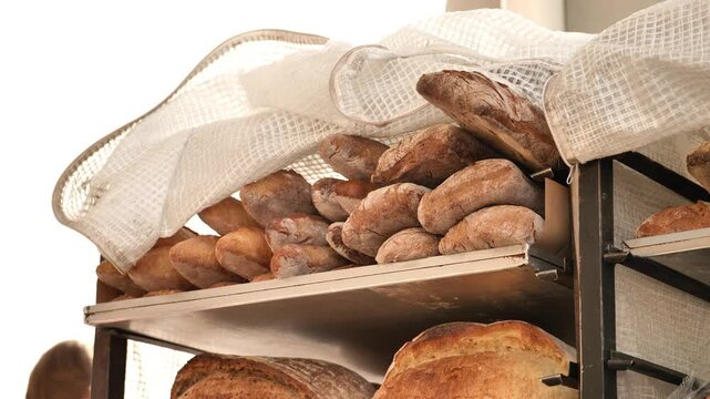 Artisan bread loaves on bakery shelves, keeping warm under a white mesh cloth