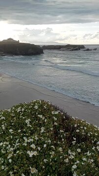 Cantabrian Coast Beach in Ribadeo Galicia with Wildflowers and Waves at Sunset