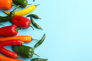 Fototapeta premium Many different colorful peppers on light blue background, flat lay. Space for text