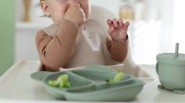 Baby tableware. Cute little child eating food from section plate on high chair at home, closeup