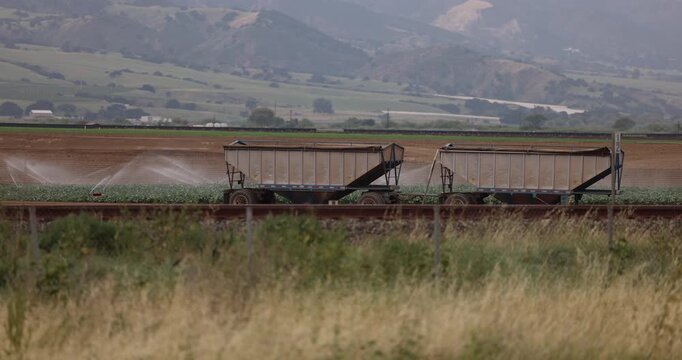 Water irrigates an artichoke field near downtown Chualar, California, USA.
