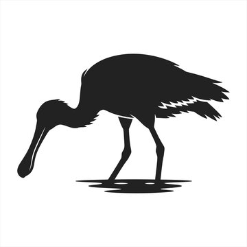 Black spoonbill bird silhouette vector illustration foraging in water