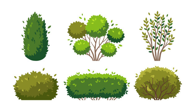Green garden bushes and hedges set with different green shrub varieties plants landscaping design elements vector icons collection