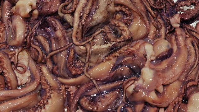 Multiple raw octopus tentacles with suction cups arranged for sale, showing fresh seafood and mollusk texture
