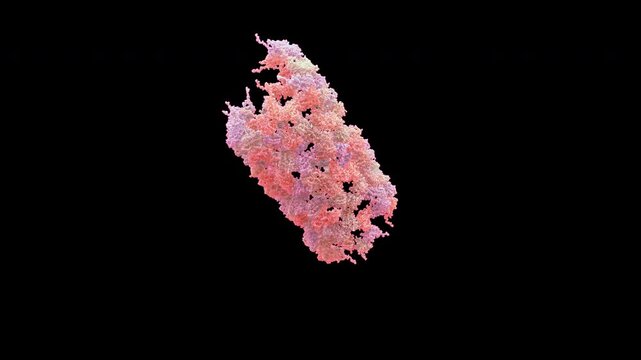 3D structure cryo-EM helical shell of ccmv capsid, cowpea chlorotic mottle virus, replication-defective and non-pathogenic to humans, primarily for nanomedicine and pH-responsive drug delivery systems