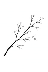 Fototapeta premium Minimalist bare tree branch silhouette with small twigs isolated on white background, black ink line art sketch and botanical nature design