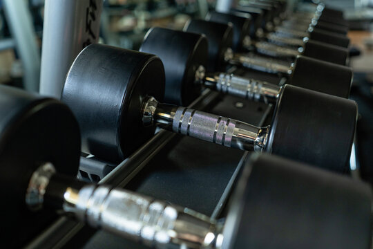 Set of dumbbells of various weights neatly arranged on rack in modern gym, organized strength training equipment storage solution for fitness center, weight room or professional workout space