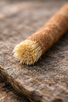 Macro photograph of Miswak or Siwak natural toothbrush from Salvadora persica tree, showcasing frayed bristles on a textured wooden background
