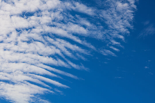 Wispy, rippled white cirrocumulus clouds sweeping across a clear blue sky.