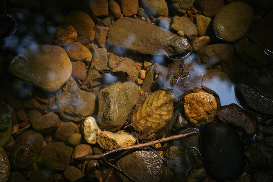 Clear river water stream texture background with submerged pebbles and autumn leaf. Top view closeup of colorful stones, fallen leaf, and sky reflections in shallow mountain creek for tranquil nature 