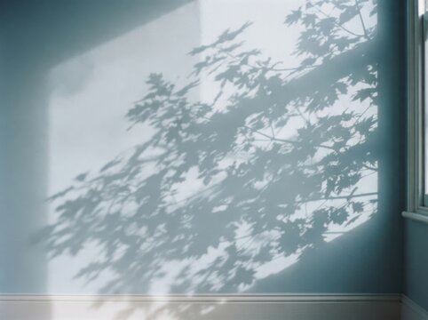 Botanical shadow play sunlight and leaves on a pale blue wall