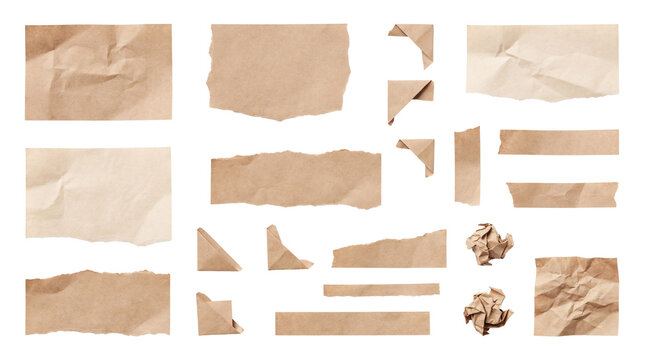 Collection of torn brown paper scraps and crumpled pieces