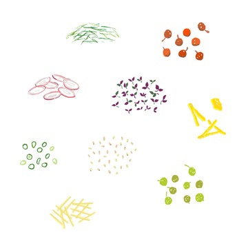 Collection of Chopped and Shredded Japanese Condiment Design Elements