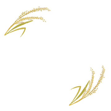 Corner Border Design Using Ripe Golden Rice Stalks Harvest