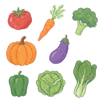 Delightful hand-drawn collection of common fresh vegetables, ideal for promoting a balanced and healthy lifestyle.