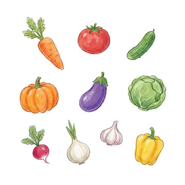 Assorted hand-drawn whole vegetables, perfect for nutritious diet promotions and culinary themed projects.