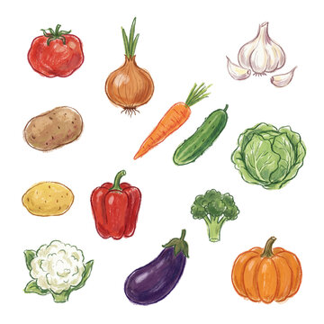 Hand-drawn collection of various fresh, healthy garden vegetables for culinary and dietary concepts on transparent.