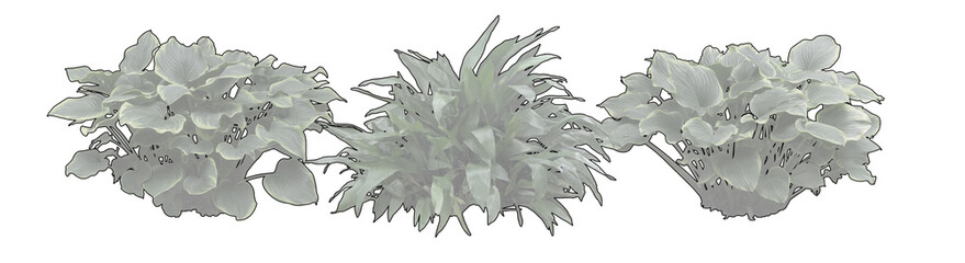 Set of Trees and Bushes in Elevation View for Architectural Drawings, Landscape Design Collection  © ADA