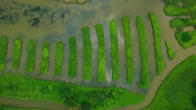 Aerial View of Cotai Ecological Reserve, Macau