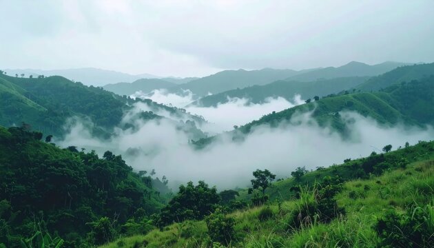 Misty green mountain landscape with fog.