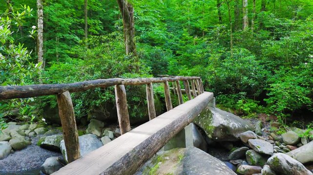 Female Hiker Crossing Over Porter Creek on Wooden Bridge, Great Smoky Mountains National Park, Tennessee, USA