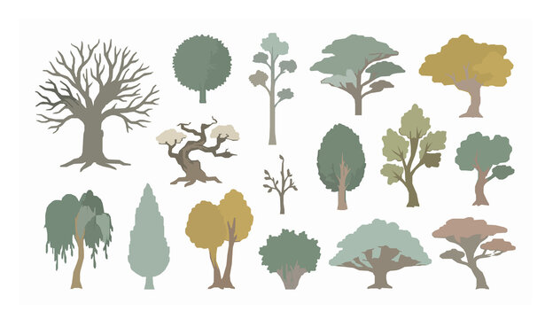 Organic Hand Drawn Tree Vector Collection with Leafy and Leafless Botanical Forms