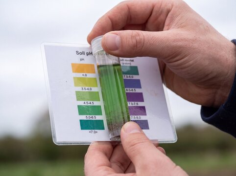 Gardener tests soil pH with a testing kit, comparing green liquid to color chart for acidity or alkalinity in garden soil.