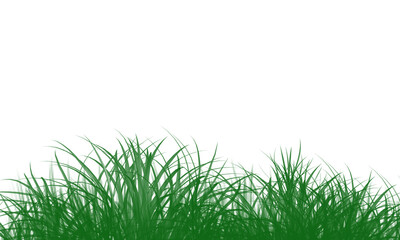 Fototapeta premium Fresh green grass blades isolated on transparent background for design and nature projects