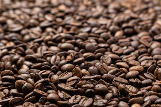 Close-up selective focus of roasted coffee beans spread out in a dense layer. Coffee roasting, espresso preparation, cafe culture concept.