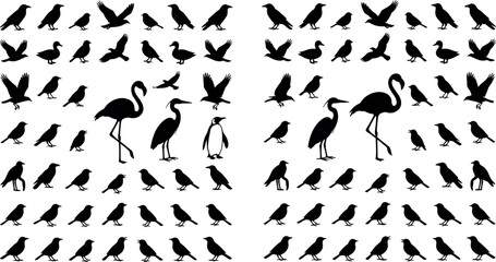 Naklejka premium Set of black silhouette various birds, flamingo, heron, penguin and small birds collection isolated on white background illustration