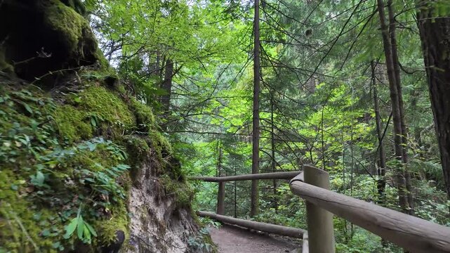 4K action camera hiking footage on Hamilton Mountain trail through dense green summer forest in Columbia River Gorge, Washington, USA, outdoor adventure, active lifestyle and nature recreation