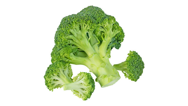 Fresh green broccoli head with cut florets isolated on white background broccoli vegetable nutrition isolated