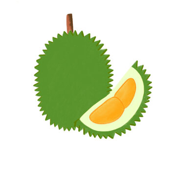 vector illustration of durians