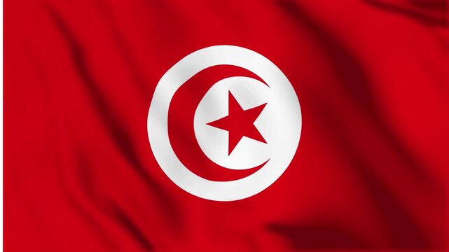 Tunisia waving flag animation loop, seamless and dynamic