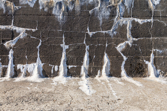 Brick wall with white saltpetre on it, potassium nitrate